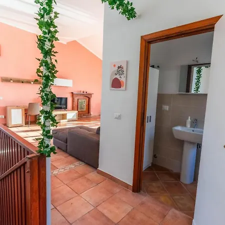Eco House Apartment Trevignano Romano
